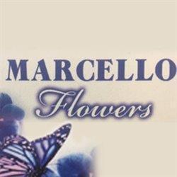 Marcello Flowers Fiori e Piante