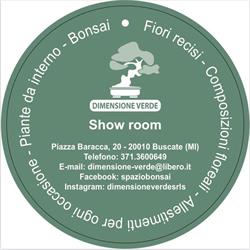 Spazio Bonsai