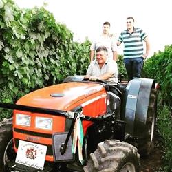 Cantina Tre d Di d'Offizi Dante