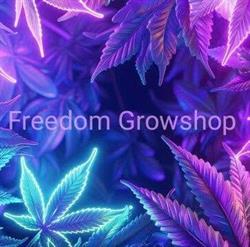 Freedom Growshop