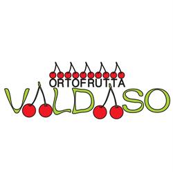 Ortofrutta Valdaso