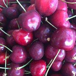 La Frutta di Stagione