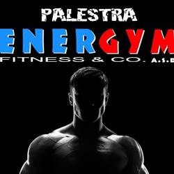 Palestra Energym