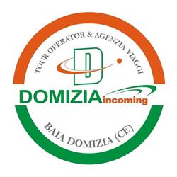 DOMIZIA INCOMING S.R.L.
