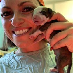 Ambulatorio Veterinario Sostizzo Marta