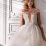 Gallery Professionale