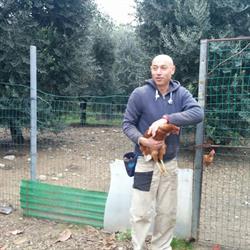 Azienda Agricola Colzi Paolo