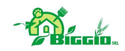 Biggio Srl Campobasso