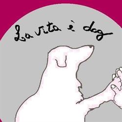 La VITA E' DOG