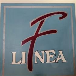 Linea F Hair Studio