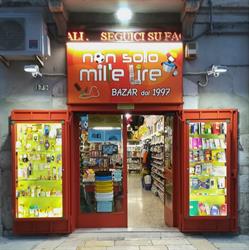 NON SOLO MILLE LIRE