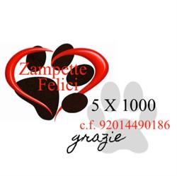 Associazione Zampette Felici Onlus