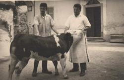 Macelleria Tassetti
