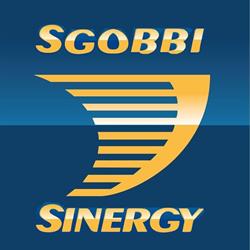 Sinergy