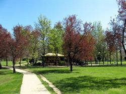 BB Parco dei Cedri