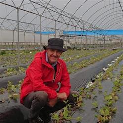 Marco Valerio Del Grosso Agronomo di Campo