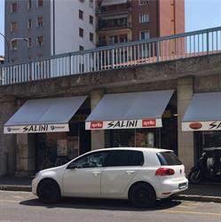 Motoalesatura Salini