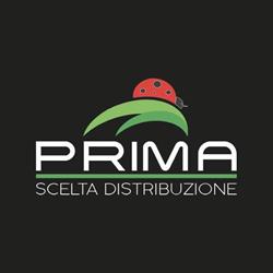 Prima Scelta Distribuzione Di Massimo Di Graziano