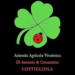 Azienda Agricola Vivaistica di Antonio e Costantino Costigliola
