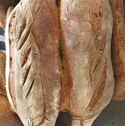 Pane e Fantasia