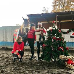 Club Ippico Il Cavaliere