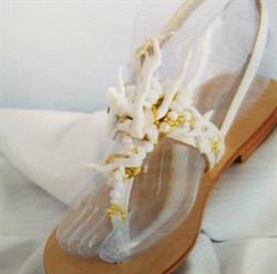 L'Angelo Delle Scarpe