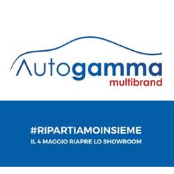 Autogamma