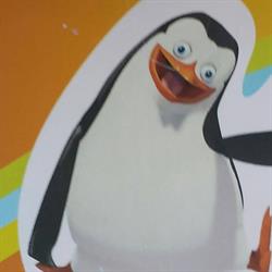 Surgelati Il Pinguino