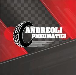 Andreoli Pneumatici Srl