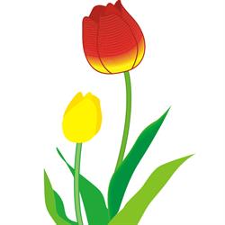 Tuliparty Torino