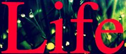 Life Secret Gardening-Oltre il giardino Affiliati Hempatia