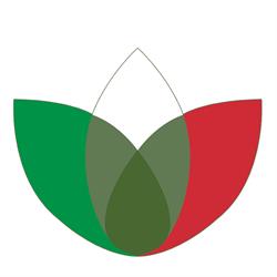 Pietroluongo Luigi Srl