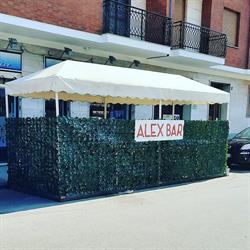 Alex Bar