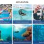 Gallery Cliente