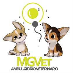 Ambulatorio Veterinario FEBEA