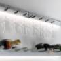 Accessori cucina