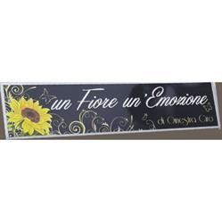 La Ginestra - Un Fiore Un'Emozione - Ginestra Ciro