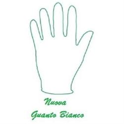 Lavaggio Divani Nuova Guanto Bianco