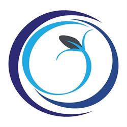 Kelta Web Agency