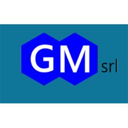 GM s.r.l.