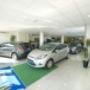 Gallery Cliente