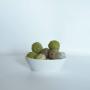 Gallery Professionale