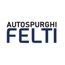 Autospurghi Felti