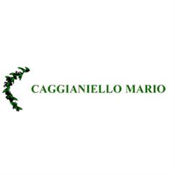 Caggianiello Mario