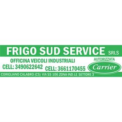 Frigo Sud Service Srls Officina Autorizzata