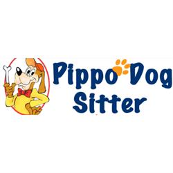Pippo Dog sitter