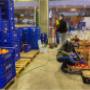 Gallery Professionale