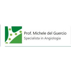 Del Guercio Prof. Michele - Specialista  in Angiologia