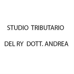 Studio Tributario Del Ry Dott. Andrea