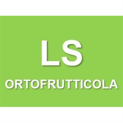 Ls Ortofrutticola - Servizi di Qualita'